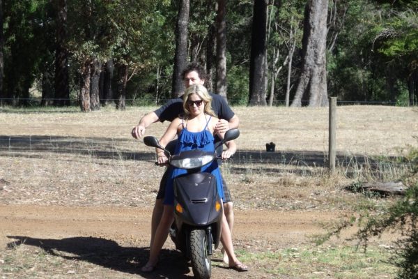 2011 Family Update