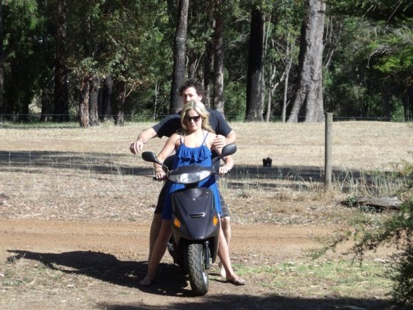 2011 Family Update