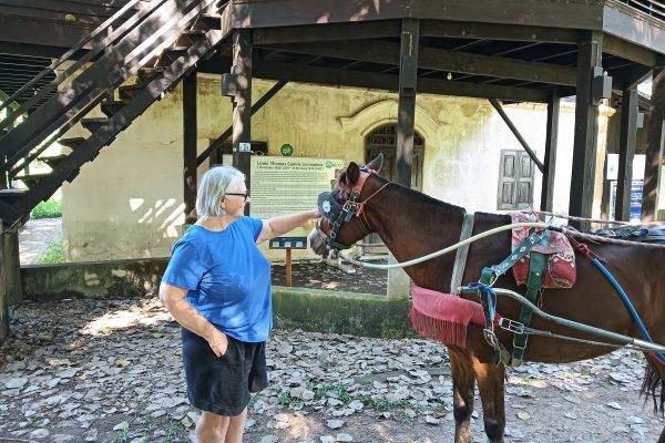 Day Trip from Chiang Mai to Lampang