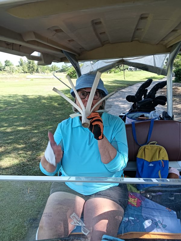 Golf in Chiang Mai – November 2025